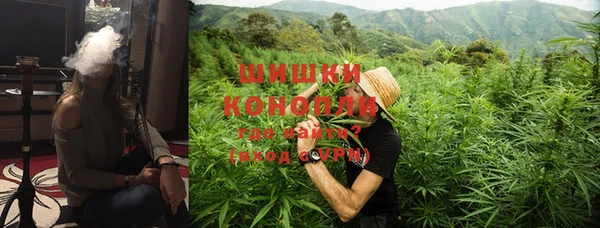МДПВ Надым
