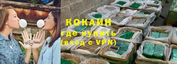 соль ск Абаза