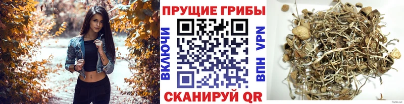 Псилоцибиновые грибы Magic Shrooms  Ильский 